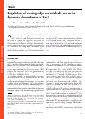 Cover page: Regulation of leading edge microtubule and actin dynamics downstream of Rac1