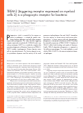 Cover page: TREM-2 (triggering receptor expressed on myeloid cells 2) is a phagocytic receptor for bacteria