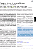 Cover page: Yaravirus: A novel 80-nm virus infecting Acanthamoeba castellanii