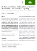 Cover page: Mechanosensor Piezo1 mediates bimodal patterns of intracellular calcium and FAK signaling