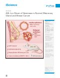 Cover page: AXL Is a Driver of Stemness in Normal Mammary Gland and Breast Cancer