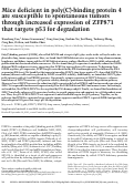 Cover page: Mice deficient in poly(C)-binding protein 4 are susceptible to spontaneous tumors through increased expression of ZFP871 that targets p53 for degradation