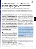 Cover page: A thylakoid membrane-bound and redox-active rubredoxin (RBD1) functions in de novo assembly and repair of photosystem II