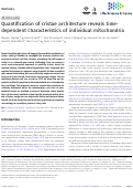 Cover page: Quantification of cristae architecture reveals time-dependent characteristics of individual mitochondria