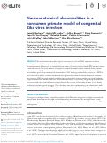 Cover page: Neuroanatomical abnormalities in a nonhuman primate model of congenital Zika virus infection