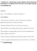 Cover page: A hybrid cyt c maturation system enhances the bioelectrical performance of engineered Escherichia coli by improving the rate-limiting step