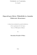 Cover page: Gigavolt-per-Meter Wakefields in Annular Dielectric Structures