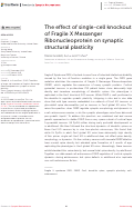 Cover page: The effect of single-cell knockout of Fragile X Messenger Ribonucleoprotein on synaptic structural plasticity