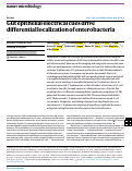 Cover page: Gut epithelial electrical cues drive differential localization of enterobacteria