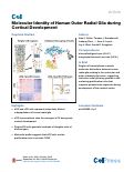 Cover page: Molecular Identity of Human Outer Radial Glia during Cortical Development