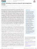 Cover page: Isotopic clumping in wood as a proxy for photorespiration in trees.