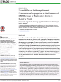 Cover page: Three Different Pathways Prevent Chromosome Segregation in the Presence of DNA Damage or Replication Stress in Budding Yeast
