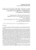 Cover page: Coleotteri Caraboidei delle Alpi e Prealpi centrali e orientali, e loro significato biogeografico (Coleoptera, Caraboidea)