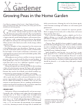 Cover page of Peas for the Home Garden