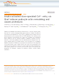 Cover page: Insulin-activated store-operated Ca2+ entry via Orai1 induces podocyte actin remodeling and causes proteinuria