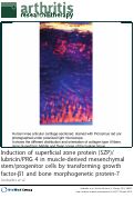 Cover page: Induction of superficial zone protein (SZP)/lubricin/PRG 4 in muscle-derived mesenchymal stem/progenitor cells by transforming growth factor-beta1 and bone morphogenetic protein-7