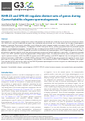 Cover page: NHR-23 and SPE-44 regulate distinct sets of genes during Caenorhabditis elegans spermatogenesis