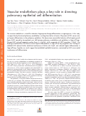 Cover page: Vascular endothelium plays a key role in directing pulmonary epithelial cell differentiation.