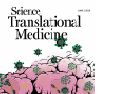 Cover page: Phase 1 trial of vocimagene amiretrorepvec and 5-fluorocytosine for recurrent high-grade glioma.