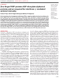 Cover page: Zinc-finger PARP proteins ADP-ribosylate alphaviral proteins and are required for interferon-γ-mediated antiviral immunity.