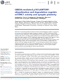 Cover page: UBE3A-mediated p18/LAMTOR1 ubiquitination and degradation regulate mTORC1 activity and synaptic plasticity