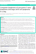 Cover page: Composite lymphoma of concurrent T zone lymphoma and large cell B cell lymphoma in a dog