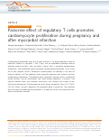 Cover page: Paracrine effect of regulatory T cells promotes cardiomyocyte proliferation during pregnancy and after myocardial infarction