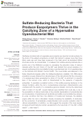 Cover page: Sulfate-Reducing Bacteria That Produce Exopolymers Thrive in the Calcifying Zone of a Hypersaline Cyanobacterial Mat