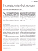 Cover page: DNA replication times the cell cycle and contributes to the mid-blastula transition in Drosophila embryos