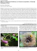 Cover page: Effects of Vertebrate Herbivory on Clematis morefieldii, a Federally Endangered Plant