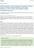 Cover page: Heterogeneity in Kv2 Channel Expression Shapes Action Potential Characteristics and Firing Patterns in CA1 versus CA2 Hippocampal Pyramidal Neurons