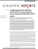 Cover page: Imaging glutathione depletion in the rat brain using ascorbate-derived hyperpolarized MR and PET probes