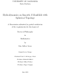 Cover page: Hydrodynamics on Smooth 2-Manifolds with Spherical Topology