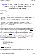 Cover page: Border Cell Migration: A Model System for Live Imaging and Genetic Analysis of Collective Cell Movement