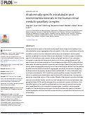 Cover page: Anatomically-specific intratubular and interstitial biominerals in the human renal medullo-papillary complex