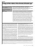 Cover page of A map of the rubisco biochemical landscape.