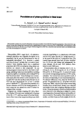 Cover page: Persistence of phencyclidine in fetal brain