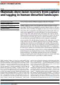 Cover page: Mammals show faster recovery from capture and tagging in human-disturbed landscapes.