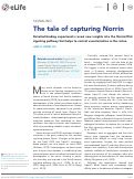 Cover page: The tale of capturing Norrin.