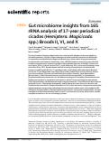 Cover page: Gut microbiome insights from 16S rRNA analysis of 17-year periodical cicadas (Hemiptera: Magicicada spp.) Broods II, VI, and X