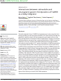 Cover page: Interactions between calmodulin and neurogranin govern the dynamics of CaMKII as a leaky integrator