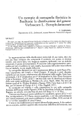 Cover page: Un esempio di cartografia floristica in Basilicata: la distribuzione del genere <i>Verbascum</i> L. (Scrophulariaceae)