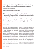 Cover page: Intraflagellar transport particle size scales inversely with flagellar length: revisiting the balance-point length control model