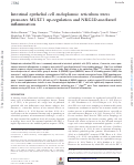 Cover page: Intestinal epithelial cell endoplasmic reticulum stress promotes MULT1 up-regulation and NKG2D-mediated inflammation