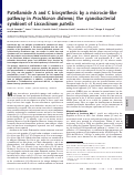 Cover page: Patellamide A and C biosynthesis by a microcin-like pathway in Prochloron didemni, the cyanobacterial symbiont of Lissoclinum patella