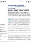 Cover page: Structural basis for membrane recruitment of ATG16L1 by WIPI2 in autophagy