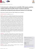 Cover page: A chromosome-scale genome assembly of the grape powdery mildew pathogen Erysiphe necator reveals its genomic architecture and previously unknown features of its biology.