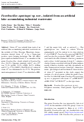 Cover page: Paenibacillus aquistagni sp. nov., isolated from an artificial lake accumulating industrial wastewater