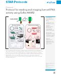 Cover page: Protocol for reading and imaging live-cell PKA activity using ExRai-AKAR2.