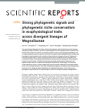 Cover page: Strong phylogenetic signals and phylogenetic niche conservatism in ecophysiological traits across divergent lineages of Magnoliaceae